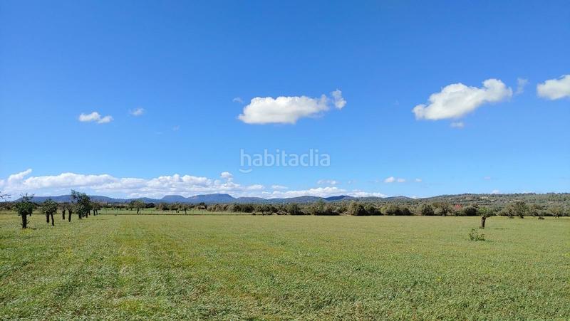 Foto 3422d6a9-861c-454f-8c8c-c225003ce503. Terreny residencial a Campos