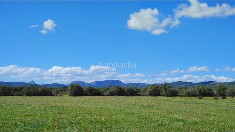 Foto 67f02f50-a980-4b1d-9bfe-3883bf7e6c75. Terreny residencial a Campos
