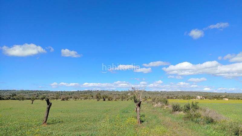 Foto 6fff8f01-f4f9-47a6-a8eb-777f7f485b38. Terreny residencial a Campos