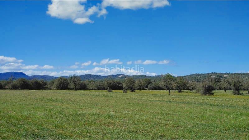 Foto 731387dc-9d61-4372-b7d4-fcb2c5420714. Terreny residencial a Campos