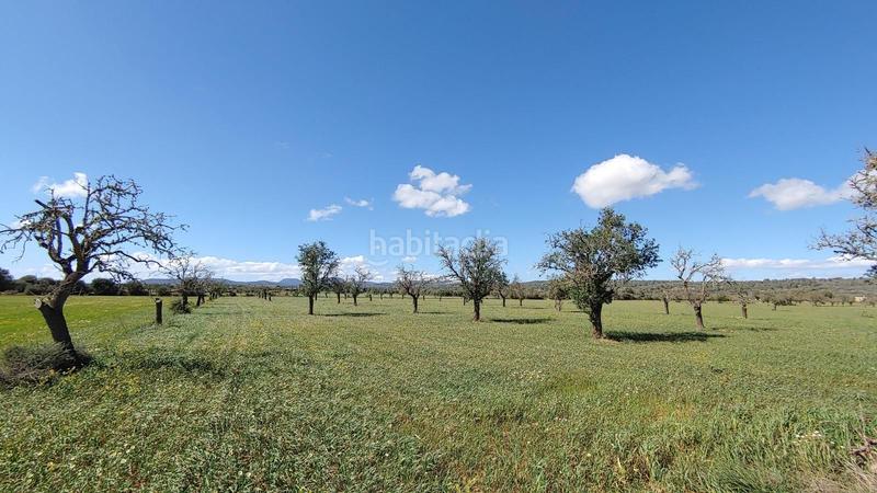 Foto 7bc364c1-6c2e-4077-8f35-152de8c69439. Terreny residencial a Campos