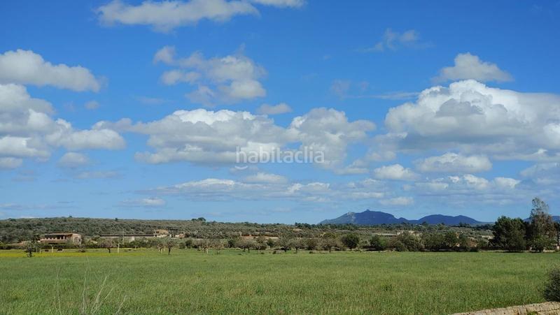 Foto 7d8aa991-8ff2-4f76-8ce5-0050fd9d6516. Terreny residencial a Campos