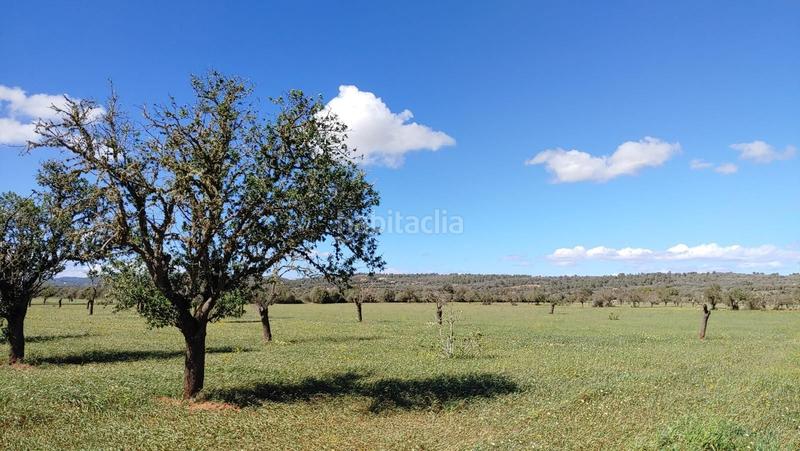 Foto 82dcf350-7e45-481f-bd61-2900a483a5af. Terreny residencial a Campos