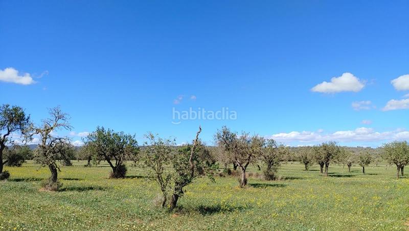 Foto 8a98ae93-012e-4b6c-b182-ce61af8de702. Terreny residencial a Campos