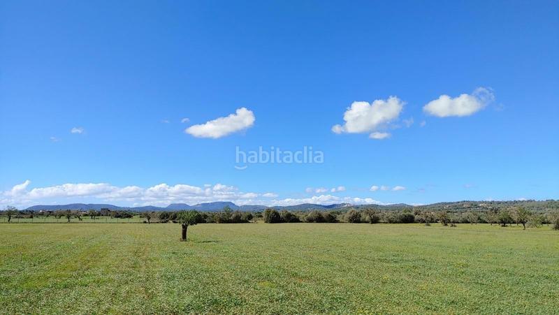 Foto b277e15e-0d1a-4cdc-9217-9dd129a747d3. Terreny residencial a Campos