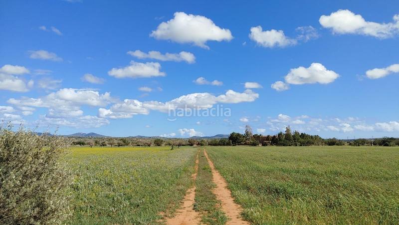 Foto c80b96e7-3a37-4317-9c8f-71bcba669c74. Terreny residencial a Campos