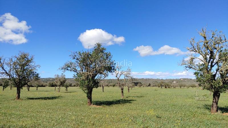 Foto d104944b-55ce-4f6f-94fe-6b1acd79fef3. Terreny residencial a Campos