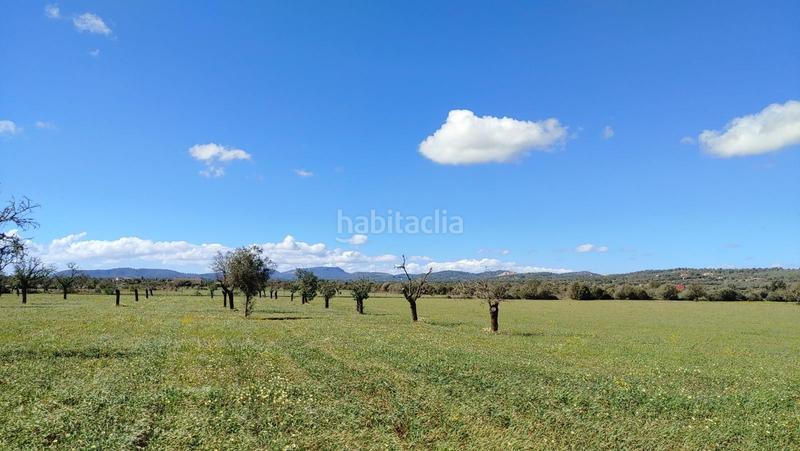 Foto d5f6d6b6-cacb-431d-97a0-a82f96018ad2. Terreny residencial a Campos