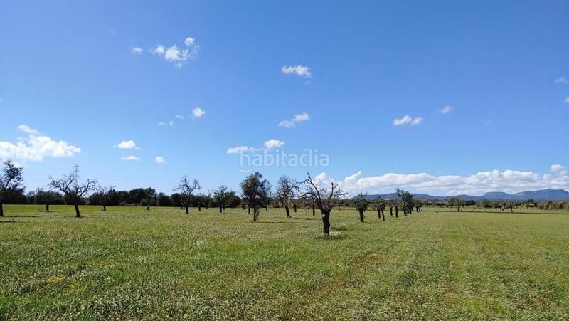 Foto d720b2f3-c692-4595-8eb3-60becf57da74. Terreny residencial a Campos