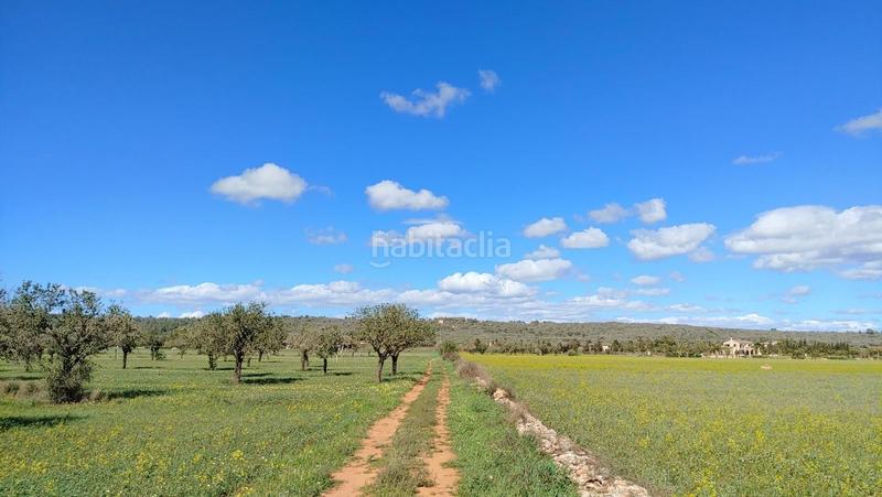 Foto e9c52ccb-50ca-4866-800b-05e010a22f81. Terreny residencial a Campos