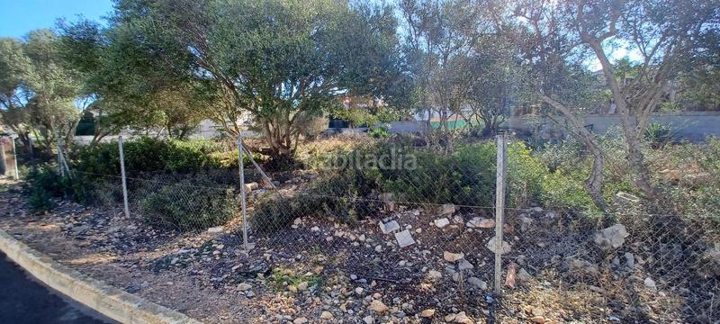 Foto 026c9864-c8b7-48ab-a6a8-621e68cb0ee3. Terreny residencial a Badia Blava-Badia Gran-Tolleric Llucmajor
