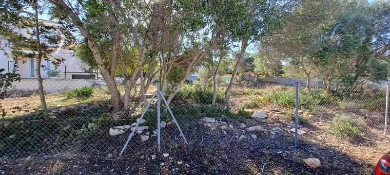 Foto 49c1445a-7f57-46e2-82f8-95e5d8bfdfda. Terreny residencial a Badia Blava-Badia Gran-Tolleric Llucmajor
