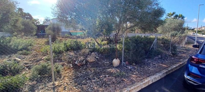 Foto 5515a270-b4d1-4870-9ca6-34bda547ad38. Terreny residencial a Badia Blava-Badia Gran-Tolleric Llucmajor