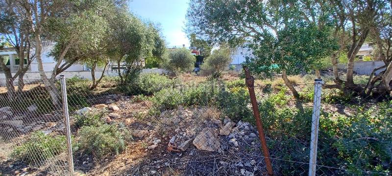 Foto 64d6220e-8134-4492-b4e9-c62144651d78. Terreny residencial a Badia Blava-Badia Gran-Tolleric Llucmajor