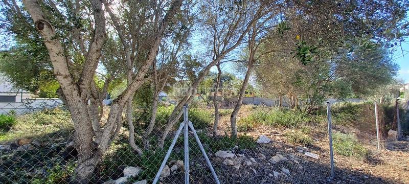 Foto da6754f2-2638-49e6-a5b2-739bf2356e2c. Terreny residencial a Badia Blava-Badia Gran-Tolleric Llucmajor