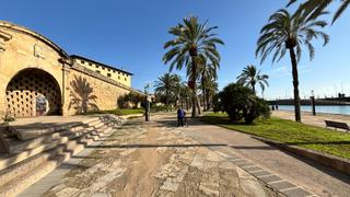 Etagenwohnung in La Calatrava. Apartamento único en el casco antiguo de palma, zona sa calatrav