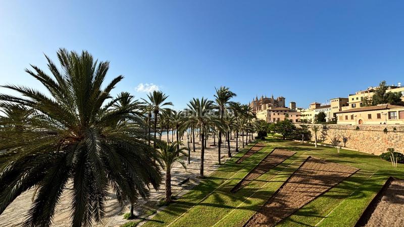 Foto 0182c070-6fe7-4b38-9e35-584eb9c02d67. Flat in La Calatrava Palma de Mallorca