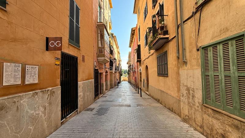 Foto d5d90956-e6ff-4979-9166-e76cf149c73a. Flat in La Calatrava Palma de Mallorca