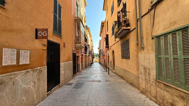 Foto 703ac951-1262-4164-a0ec-d4d2a488f0e0. Pis a La Calatrava Palma de Mallorca