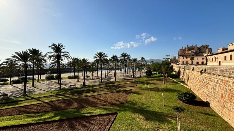 Foto bea8c400-a2f1-4c60-86a4-a18fe129e603. Pis a La Calatrava Palma de Mallorca