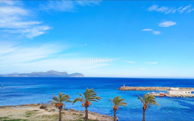 Foto 9dd28c8c-d78f-46ff-b282-a3eb950cb5d4. Pis amb calefacció aparcament a Can Picafort Santa Margalida