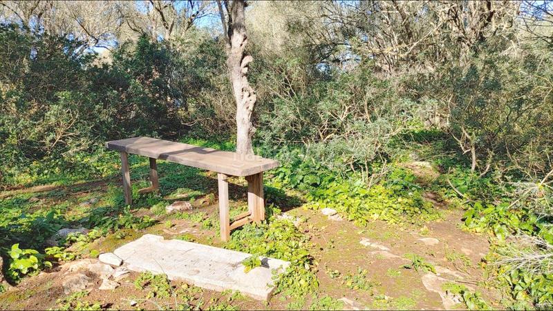 Foto 01fc6f74-605d-48ed-8eeb-6ffc29ce41d3. Terreny residencial a Felanitx poble Felanitx