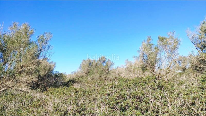 Foto 1c96233e-846d-46e3-8f4b-98264d22a9c0. Terreny residencial a Felanitx poble Felanitx