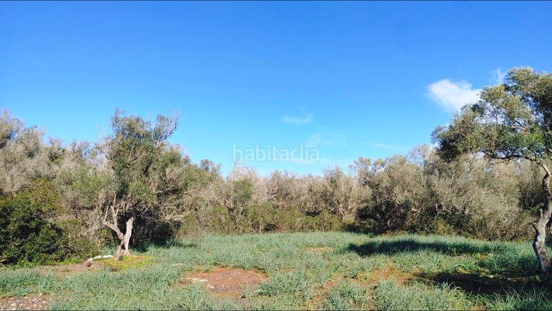 Foto 53eaa566-92a8-4a89-a066-b16933ab522a. Terreny residencial a Felanitx poble Felanitx