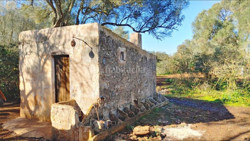 Foto 72fa0422-a92a-4114-b62f-f2fbf900fad2. Terreny residencial a Felanitx poble Felanitx