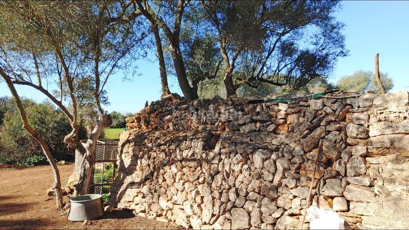 Foto 8a029722-e4c3-4d42-8760-8227578e52fc. Terreny residencial a Felanitx poble Felanitx