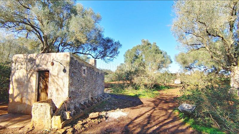 Foto a45c301d-ad1e-4751-b67f-400b7b7f1e3a. Terreny residencial a Felanitx poble Felanitx