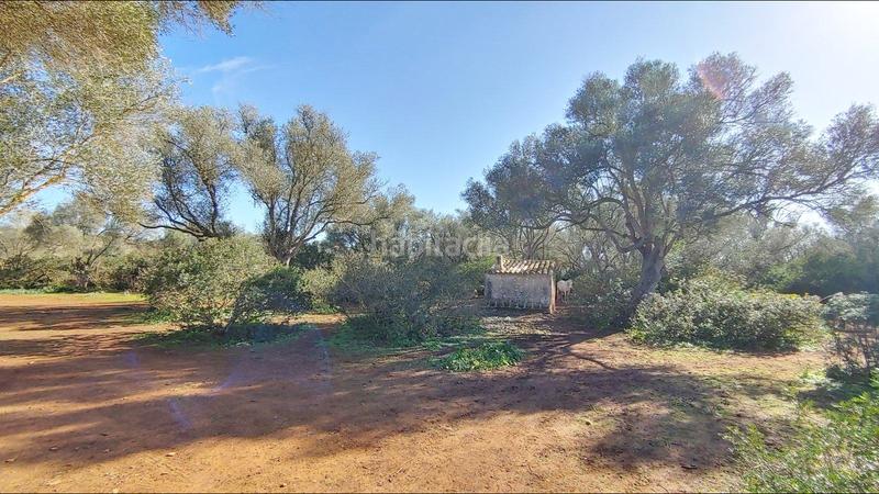 Foto b473643d-8eee-42a2-a320-370a864216ac. Terreny residencial a Felanitx poble Felanitx