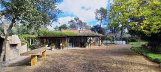 Bauernhof in Sencelles. Finca rústica con piscina y licencia turística en sencelles  nat