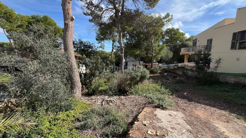 Foto 93c336d1-aff8-4961-9697-2dab56ea2bd4. Terreno residencial solar a 200 metros del mar en urbanización El Toro, en Calvià