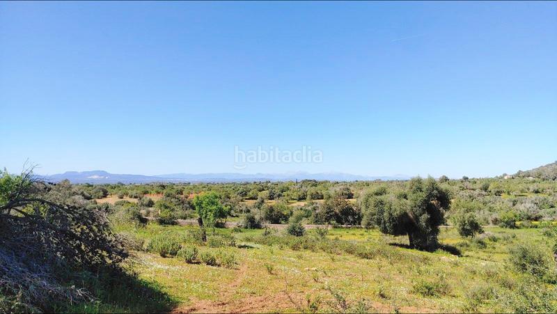 Foto 03e80bc3-c26b-4ed9-bc29-bb6e303fa448. Terreno residenziale in S´Horta - Cas Concos des Cavaller - Es Carritxó Felanitx