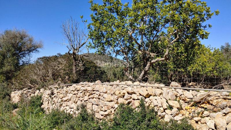 Foto 122c9d05-ccf0-4b04-813f-8a6629373b0a. Terreno residenziale in S´Horta - Cas Concos des Cavaller - Es Carritxó Felanitx