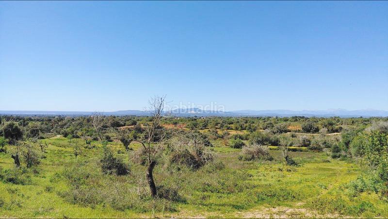 Foto 2025432f-3453-4e7d-9325-6f855242fe09. Terreno residenziale in S´Horta - Cas Concos des Cavaller - Es Carritxó Felanitx