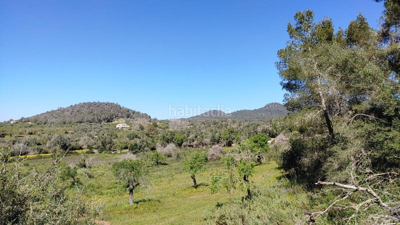 Foto 203bd097-5717-4ae7-9675-280dd80f229c. Terreno residenziale in S´Horta - Cas Concos des Cavaller - Es Carritxó Felanitx