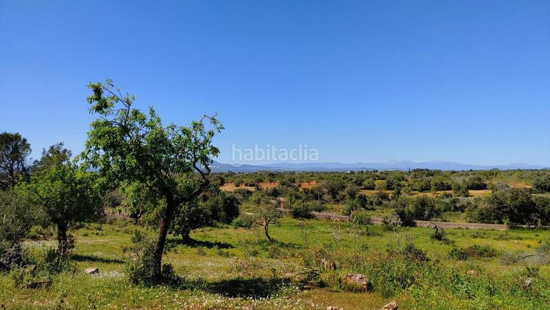 Foto 34ff3593-0ace-4f36-a92a-58f51b6a7fc7. Terreno residenziale in S´Horta - Cas Concos des Cavaller - Es Carritxó Felanitx