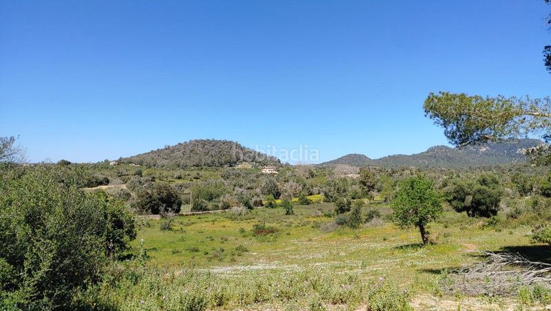 Foto 3641d9d0-bfac-418e-88d8-66d8a041e6c1. Terreno residenziale in S´Horta - Cas Concos des Cavaller - Es Carritxó Felanitx