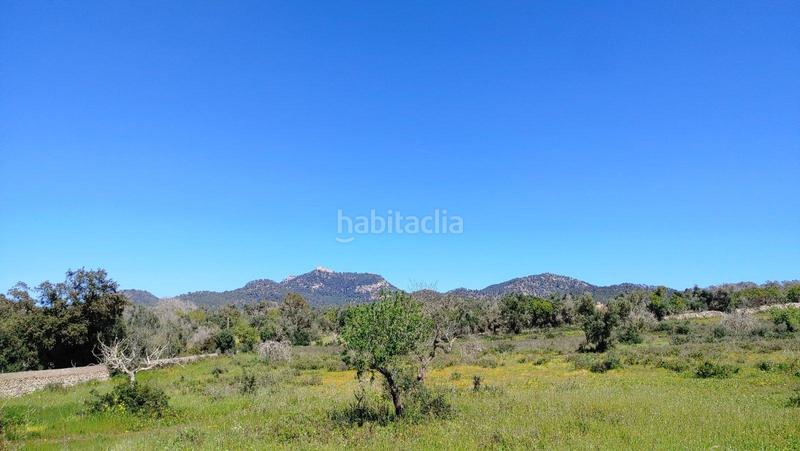Foto 3cc31fbe-82dd-47a6-b81e-ceab957c5596. Terreno residenziale in S´Horta - Cas Concos des Cavaller - Es Carritxó Felanitx