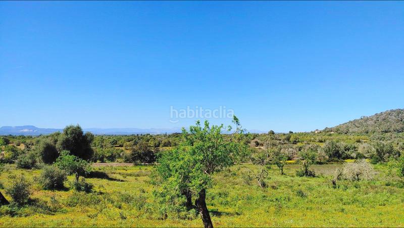 Foto 518814e1-58ea-445b-8b48-b98f080e9416. Terreno residenziale in S´Horta - Cas Concos des Cavaller - Es Carritxó Felanitx