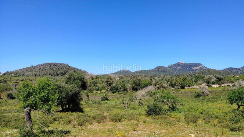 Foto 536e3ee9-b192-4825-8d81-3b629c209aea. Terreno residenziale in S´Horta - Cas Concos des Cavaller - Es Carritxó Felanitx