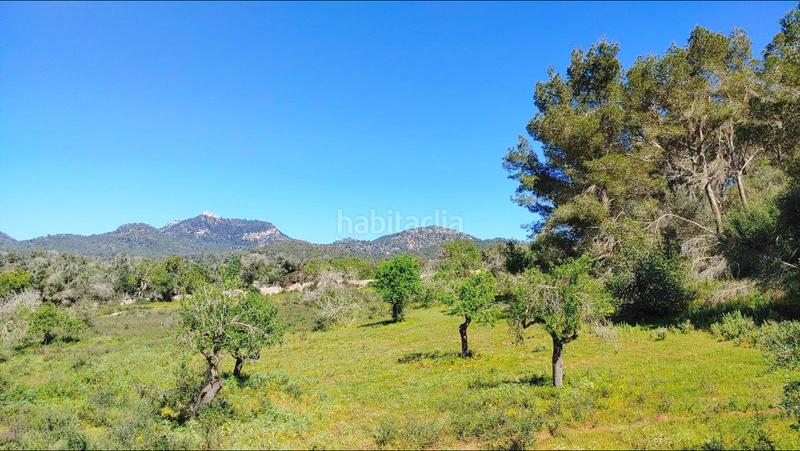 Foto 5ef5ea9d-1eac-4146-854f-846ecdb2a38d. Terreno residenziale in S´Horta - Cas Concos des Cavaller - Es Carritxó Felanitx