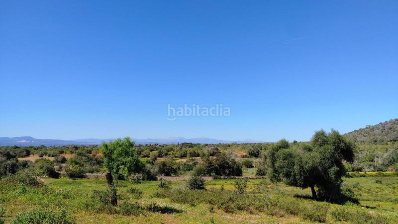 Foto 5f40ddda-c622-4dbe-ac44-89bd83fe0287. Terreno residenziale in S´Horta - Cas Concos des Cavaller - Es Carritxó Felanitx