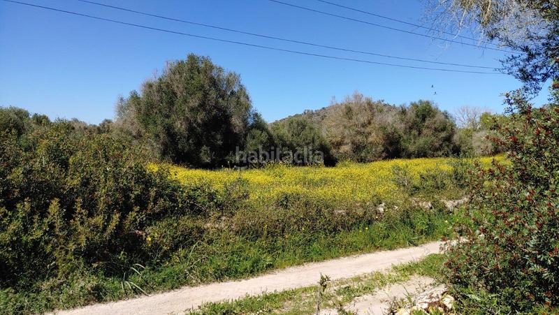 Foto 6ef550fc-68c9-4813-b5d4-3e7f27e9053b. Terreno residenziale in S´Horta - Cas Concos des Cavaller - Es Carritxó Felanitx