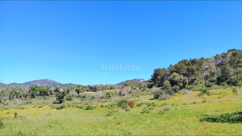 Foto 9576d289-89e9-40a1-ad33-c562730f3066. Terreno residenziale in S´Horta - Cas Concos des Cavaller - Es Carritxó Felanitx