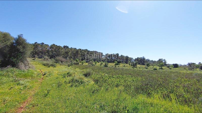 Foto 965ca8e0-0b56-44b9-a50b-ea41bdcd203c. Terreno residenziale in S´Horta - Cas Concos des Cavaller - Es Carritxó Felanitx
