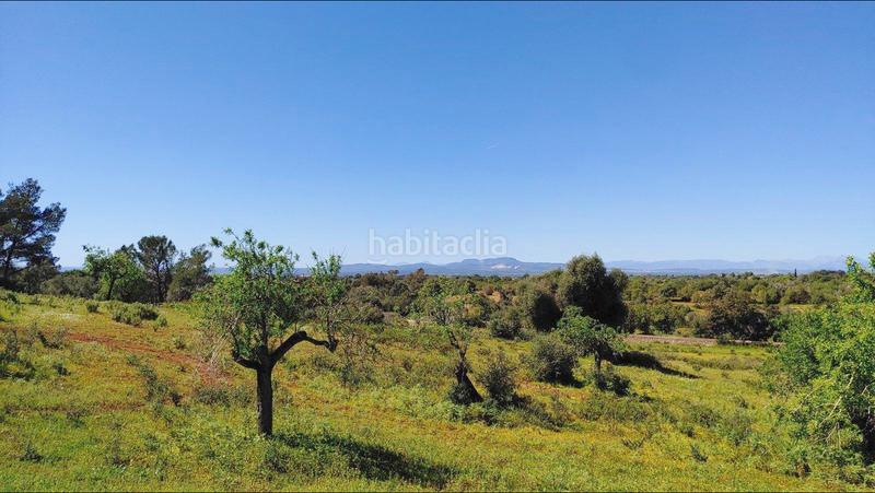 Foto ab1c8f89-7619-4b46-baab-1be2fa73f5c3. Terreno residenziale in S´Horta - Cas Concos des Cavaller - Es Carritxó Felanitx
