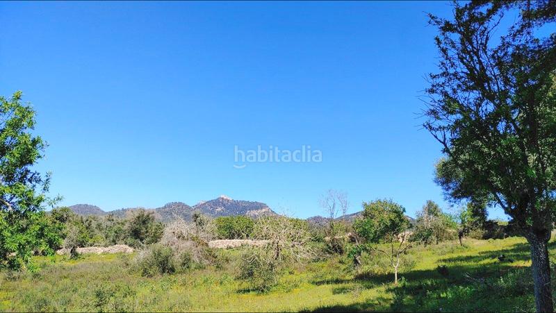 Foto b737ef89-e635-4e09-8d55-dce118bc94d2. Terreno residenziale in S´Horta - Cas Concos des Cavaller - Es Carritxó Felanitx